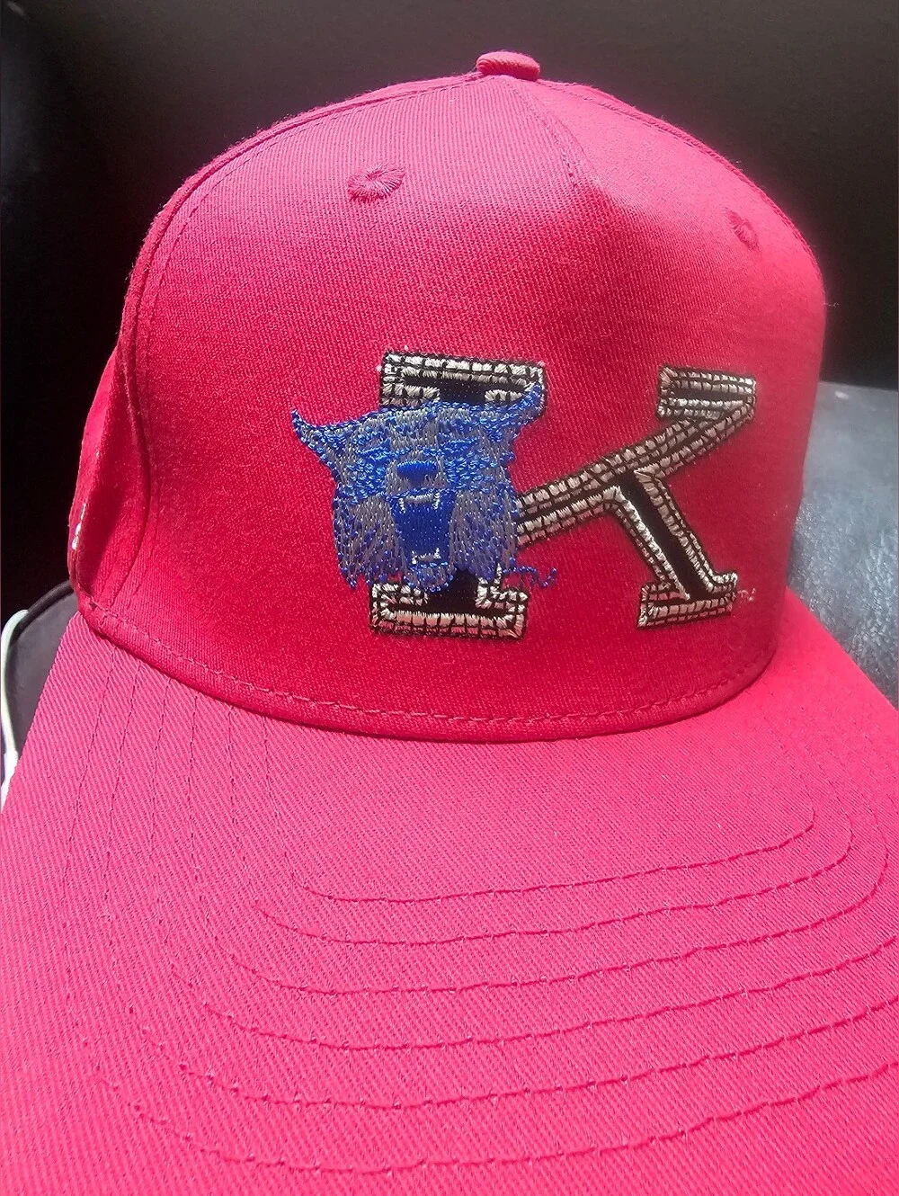 Mitchell & Ness Kids Hot Pink Cap with Blue Panther and Silver 'K' Patch
